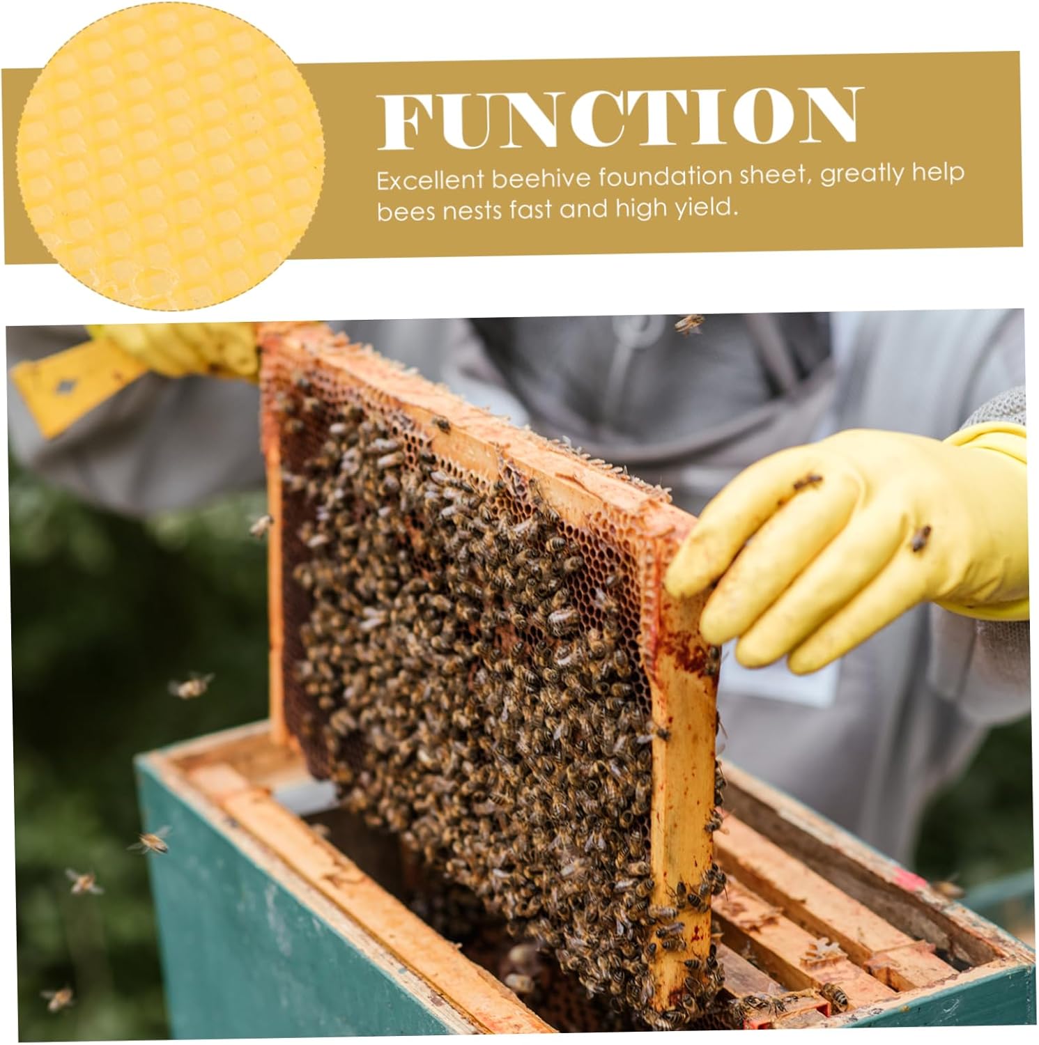 SUPVOX 30pcs Hive Basics Honeycomb Supplies Beehive Foundation Beekeeping Equipment Comb Foundation