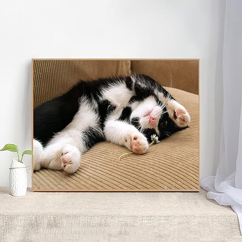 Miniatura 3 de QAZWSX Kit de pintura de diamante 5D de taladro completo para adultos pintura por números arte de gemas para decoración de pared 16 x 12 pulgadas