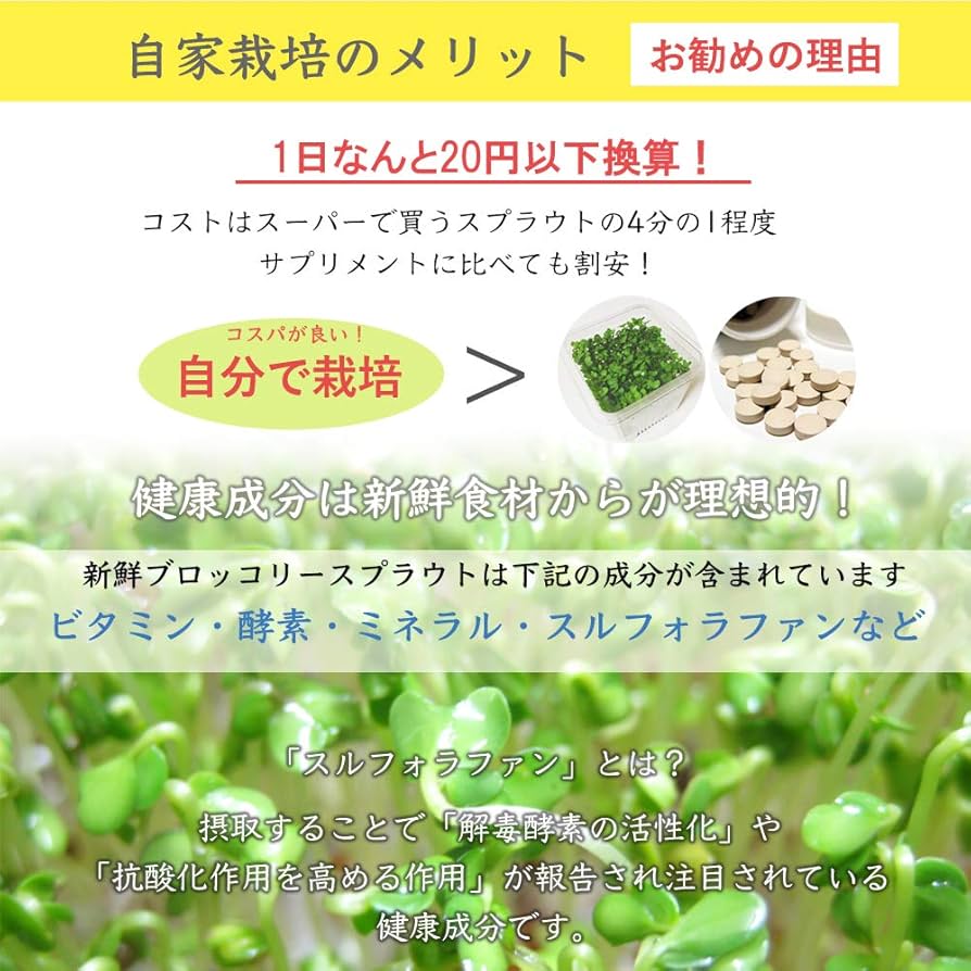 種子10袋セット　　　スルフォラファン　見分け方 楽天市場】【栽培キット プレゼント中】 ブロッコリースプラウト