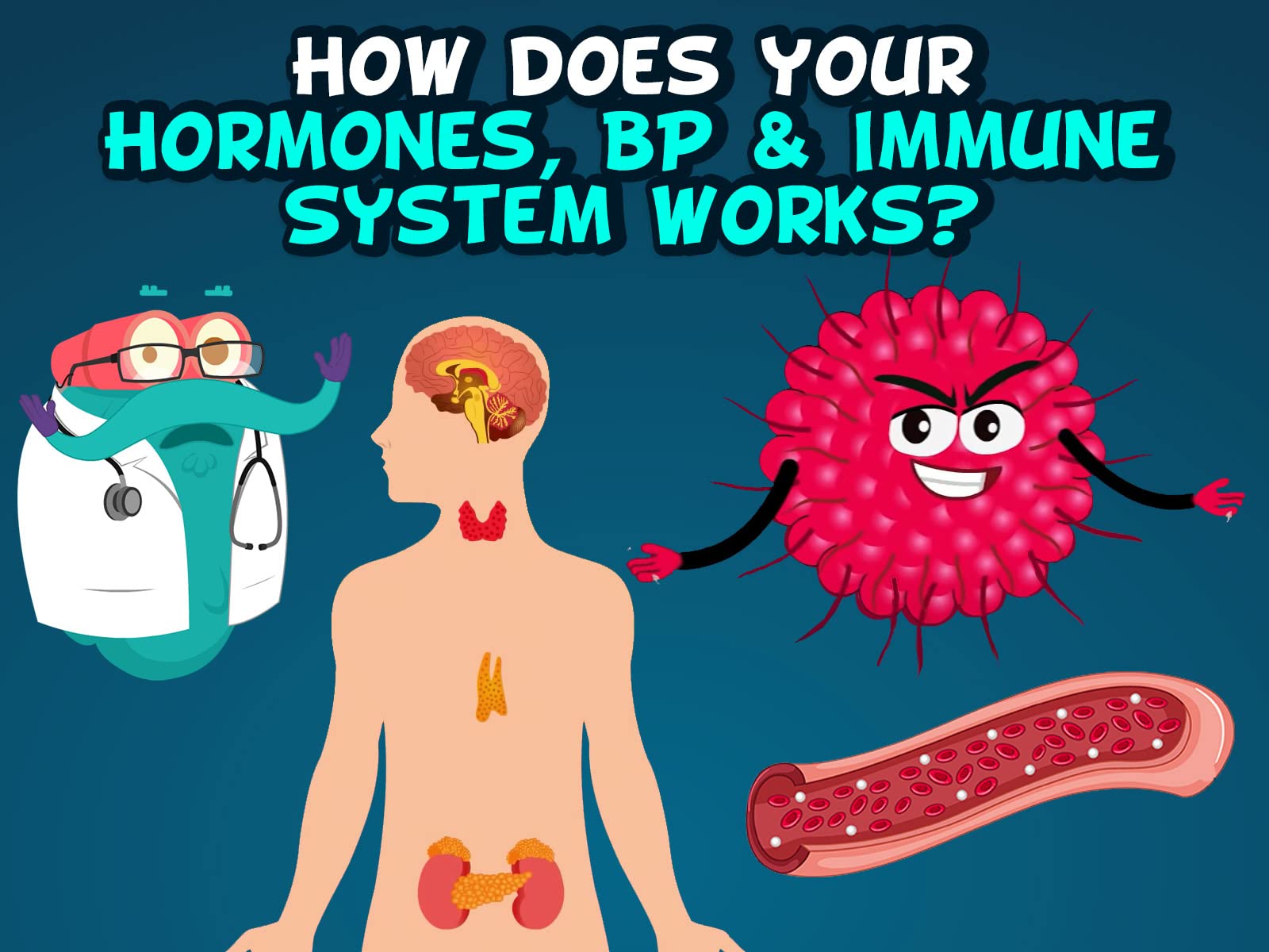 Watch Learn With Dr. Binocs Prime Video