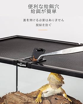 Amazon | 飼育ケース特大飼育ケージ 爬虫類グラステラリウム透明