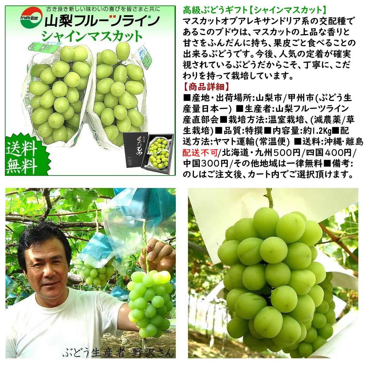 Amazon.co.jp: シャインマスカット 山梨県産 2～3房入 約1.2kg 贈答用
