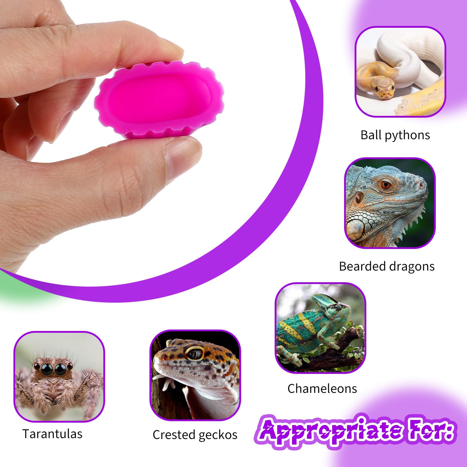 12PCS Gecko Food Cups, Plastic Crested Geckos Food Dish, Reptile Crested Silicone Bottle Caps, Mini Tray For Geckos Feeding Cups Easy To Clean