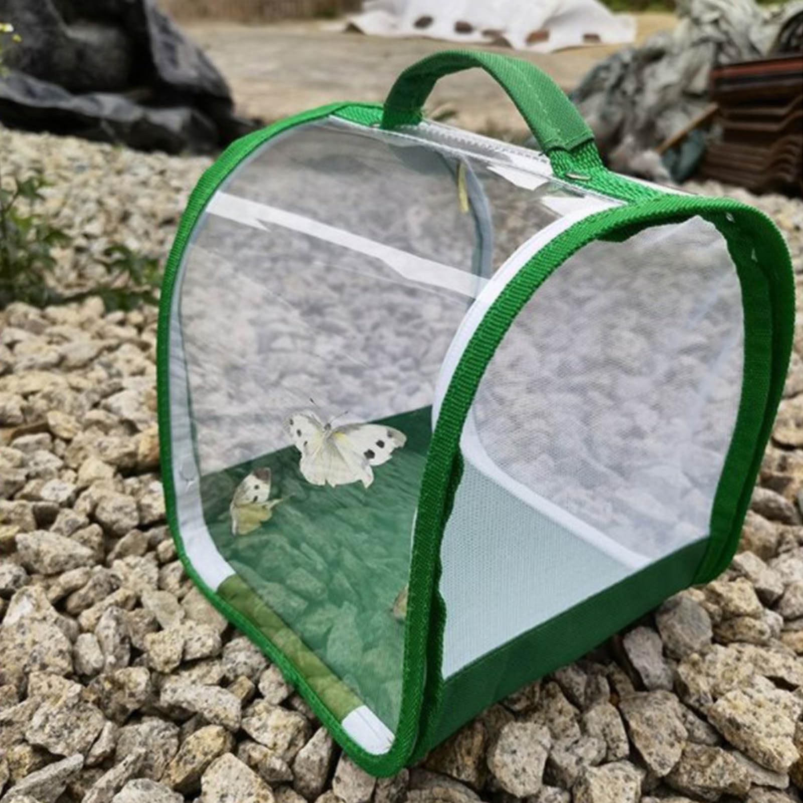 Set di allevamento di farfalle per bambini/adulti | Farfalla domestica | Insetto e Farfalla Habitat Gabbia di protezione per terrario | Allevamento cingolato dai 3 anni in su, verde