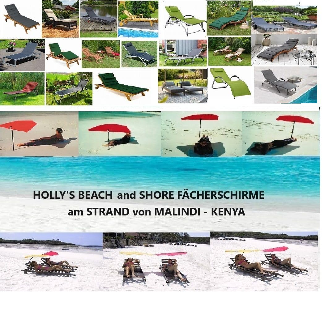 2 X SCHRAUBHERINGE mit einem WURMSCHRAUBEN Gewinde + Holly Edelstahlschäkel+Tasche+NUSSADAPTER