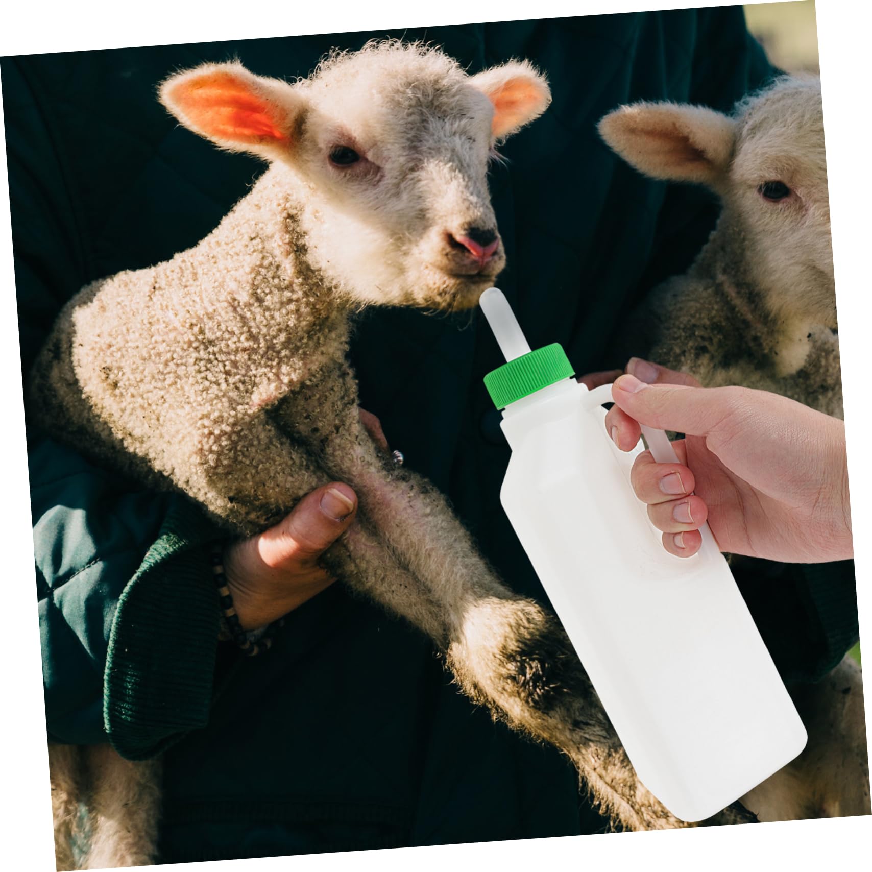 Milisten 5 Tetinas De Goma Para Biberón De Corderos, Cabras Y Terneros, Accesorio De Alimentación Portátil Y Ligero, Reemplazo Para Ganadería Y Cría De Animales