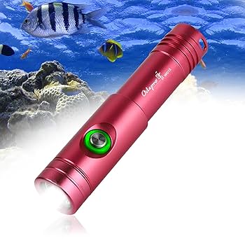 【特価セール】Odepro WD12 IPX8 Max 1050ルーメン ダイビ Amazon.co.jp: Odepro WD12 IPX8 Max 1050ルーメン ダイビング