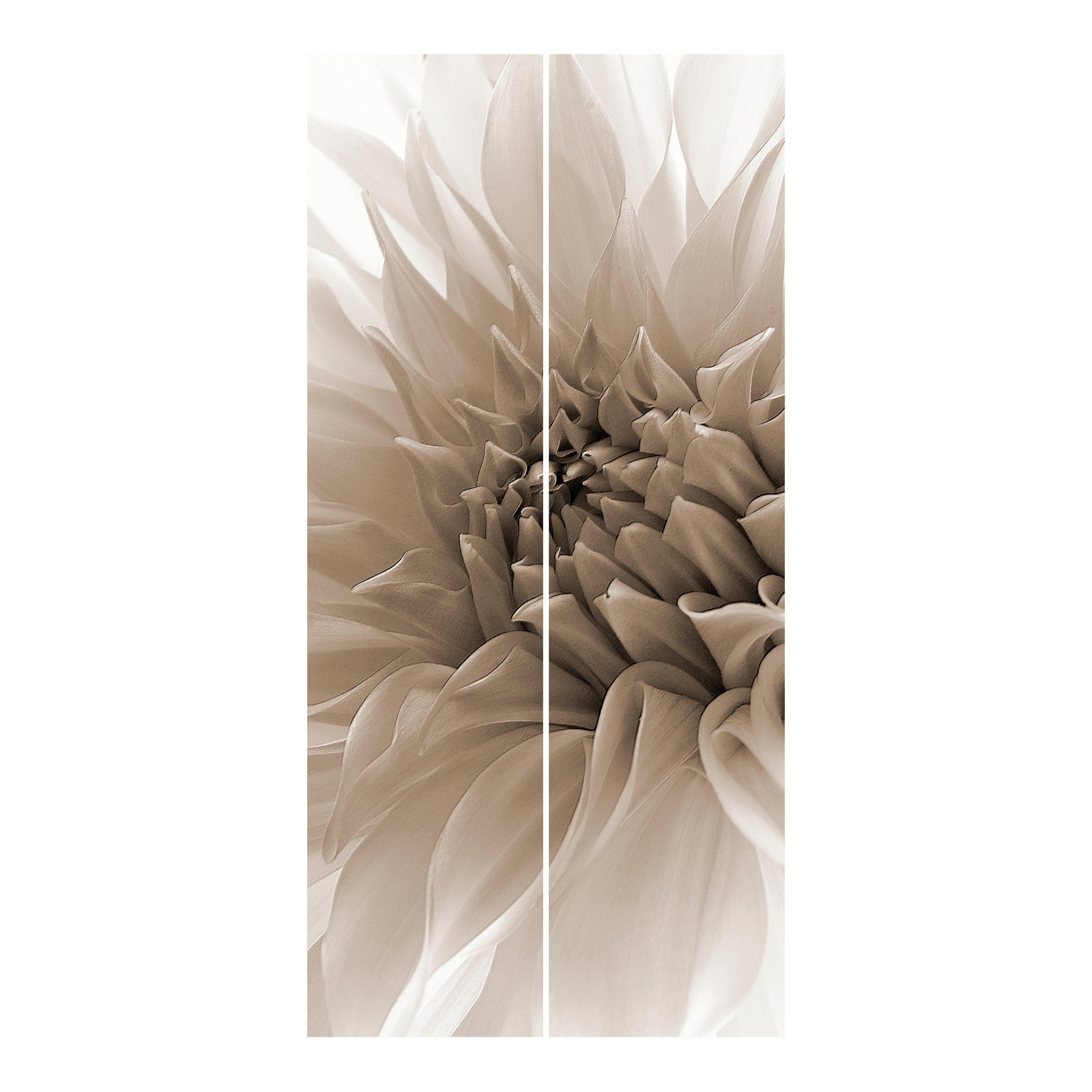 Schiebegardine halbtransparent 60er Paneel Klett Blumen Textil lichtdurchlässig - Motiv Modern Flächenvorhang beige Wohnzimmer Schlafzimmer 1179 (120x250 cm - 2er Set)