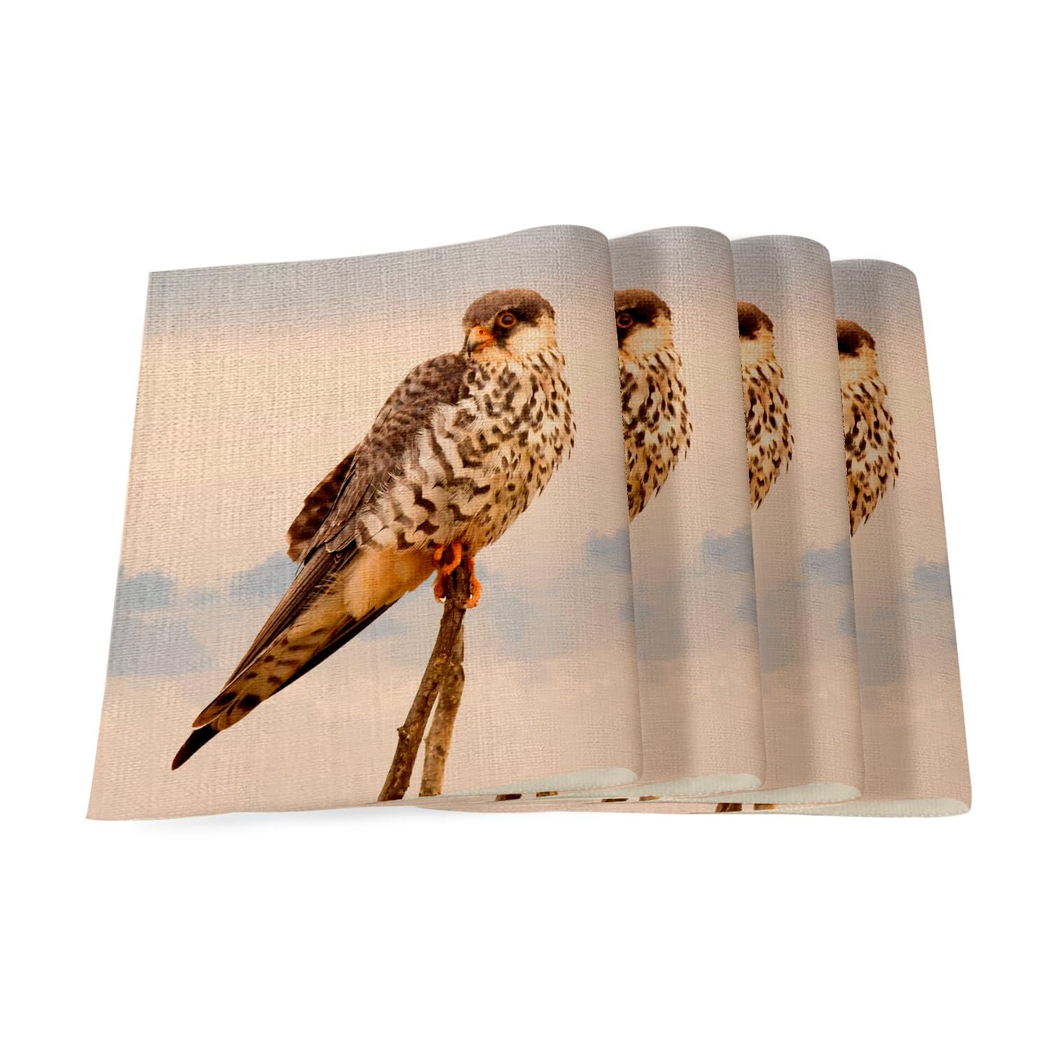 Sets de table en lin grand format 40x28.5 cm imprimé rapace faucon sauvage x4