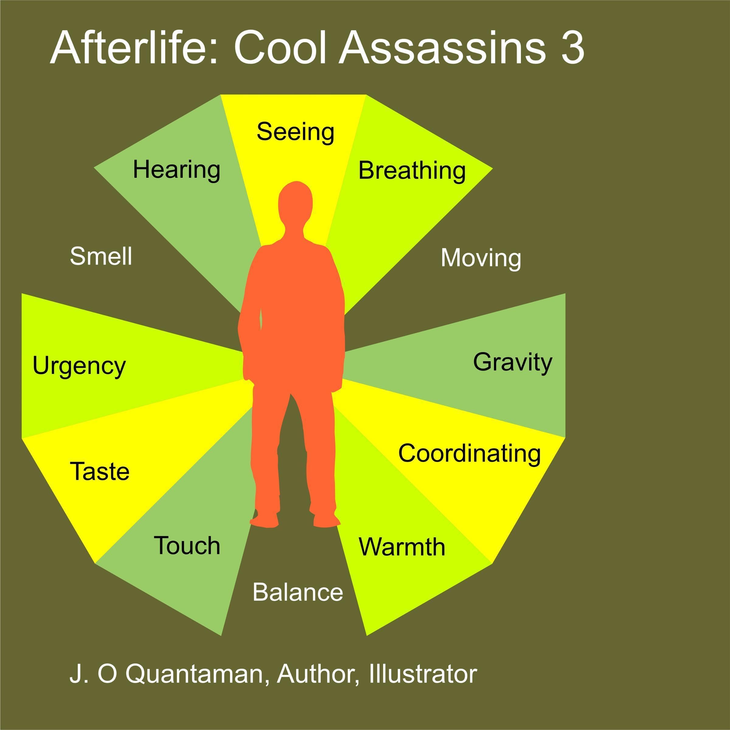Cover art for Afterlife