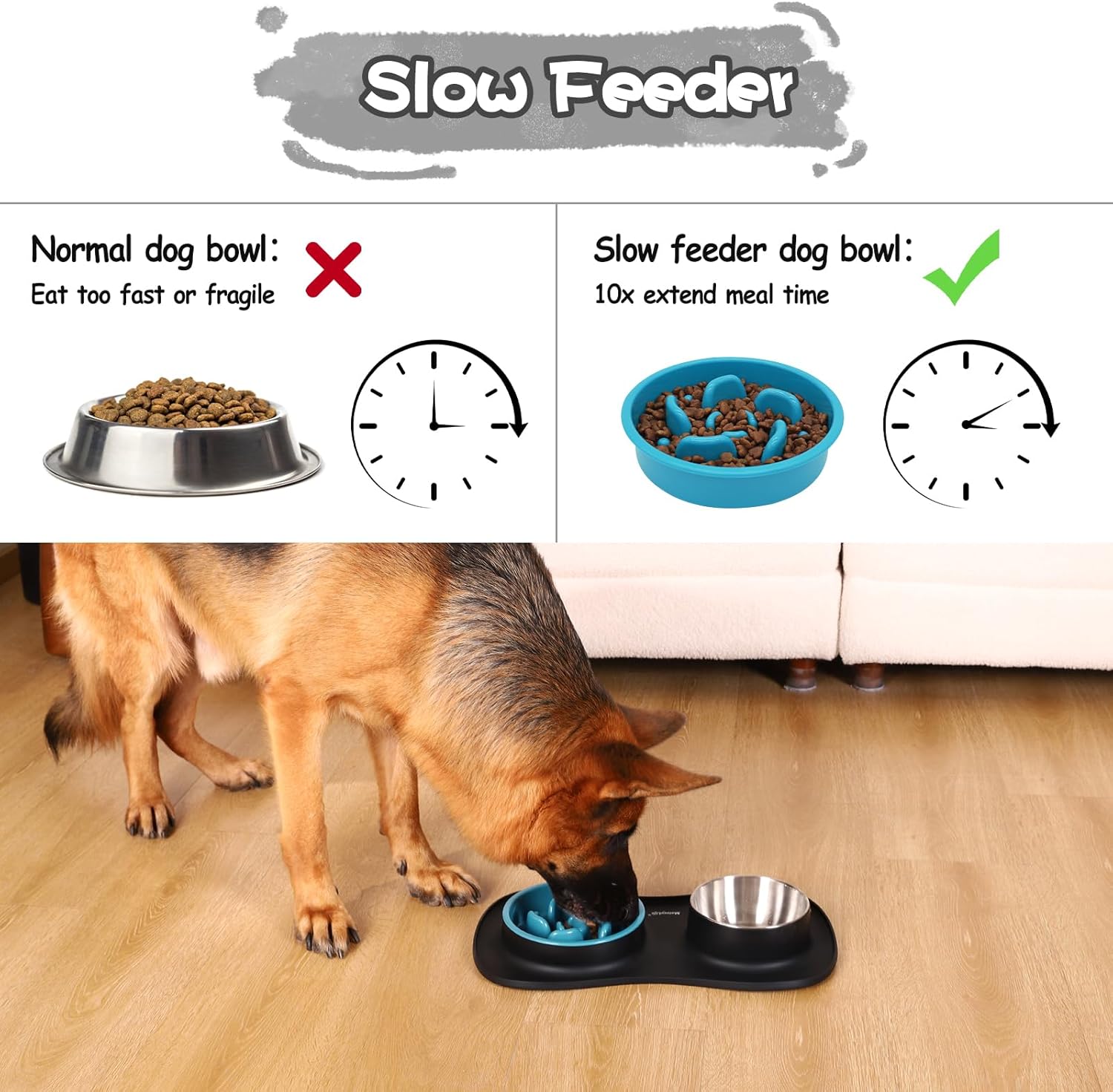The Ultimate 3-in-1 Dog Bowl Set: MateeyLife Review for Pet Owners