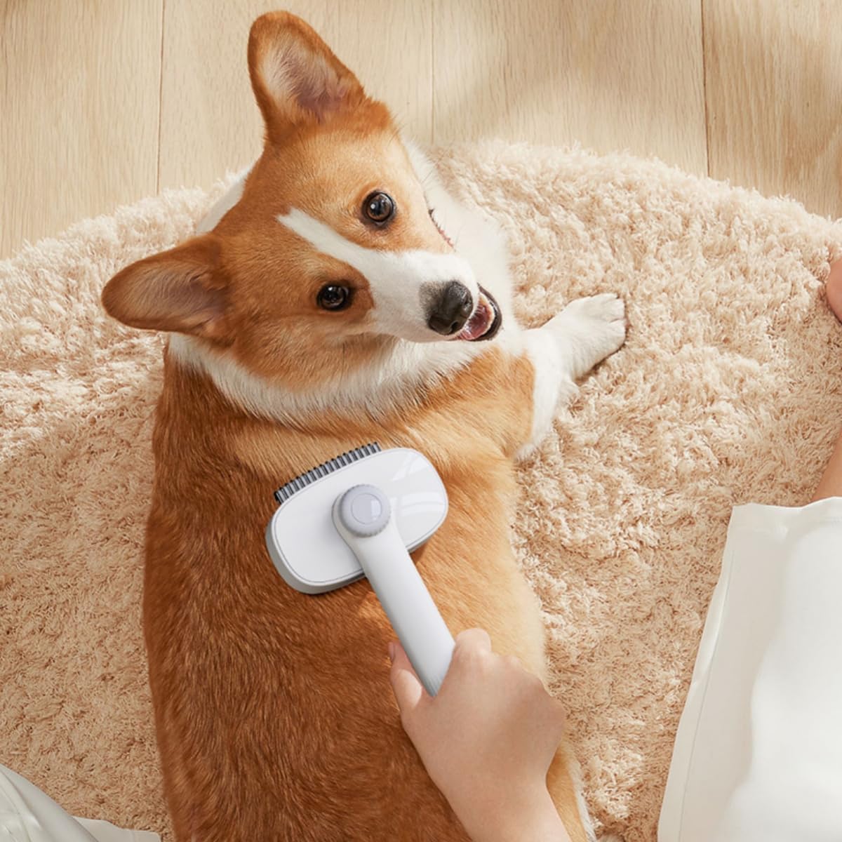 711k5iKXsYL. AC SL1200