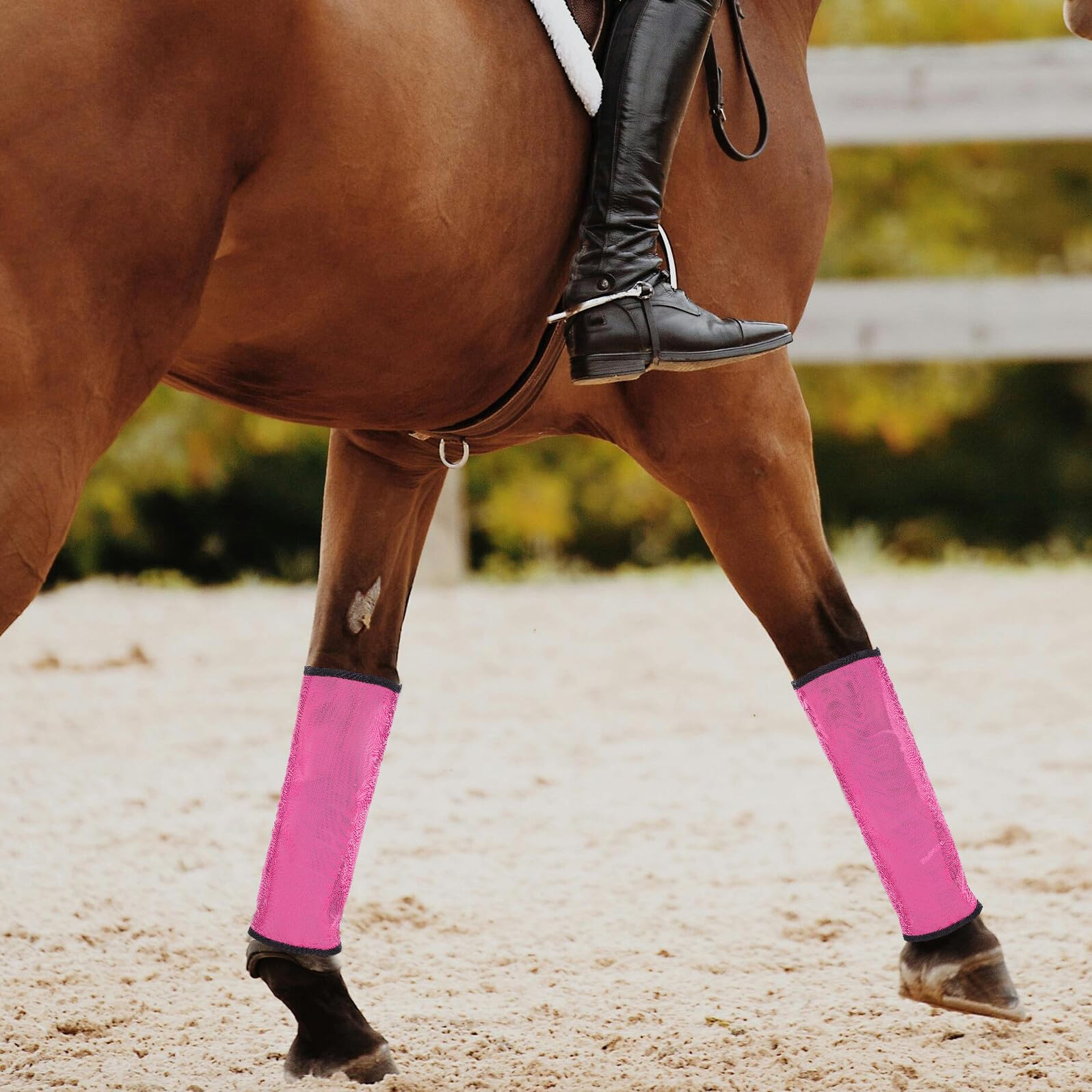 Gatuida Protezione le Gambe del Cavallo a Rete Traspirante 4 Pezzi, Design Elastico Leggero per Sessioni di Allenamento All'aperto