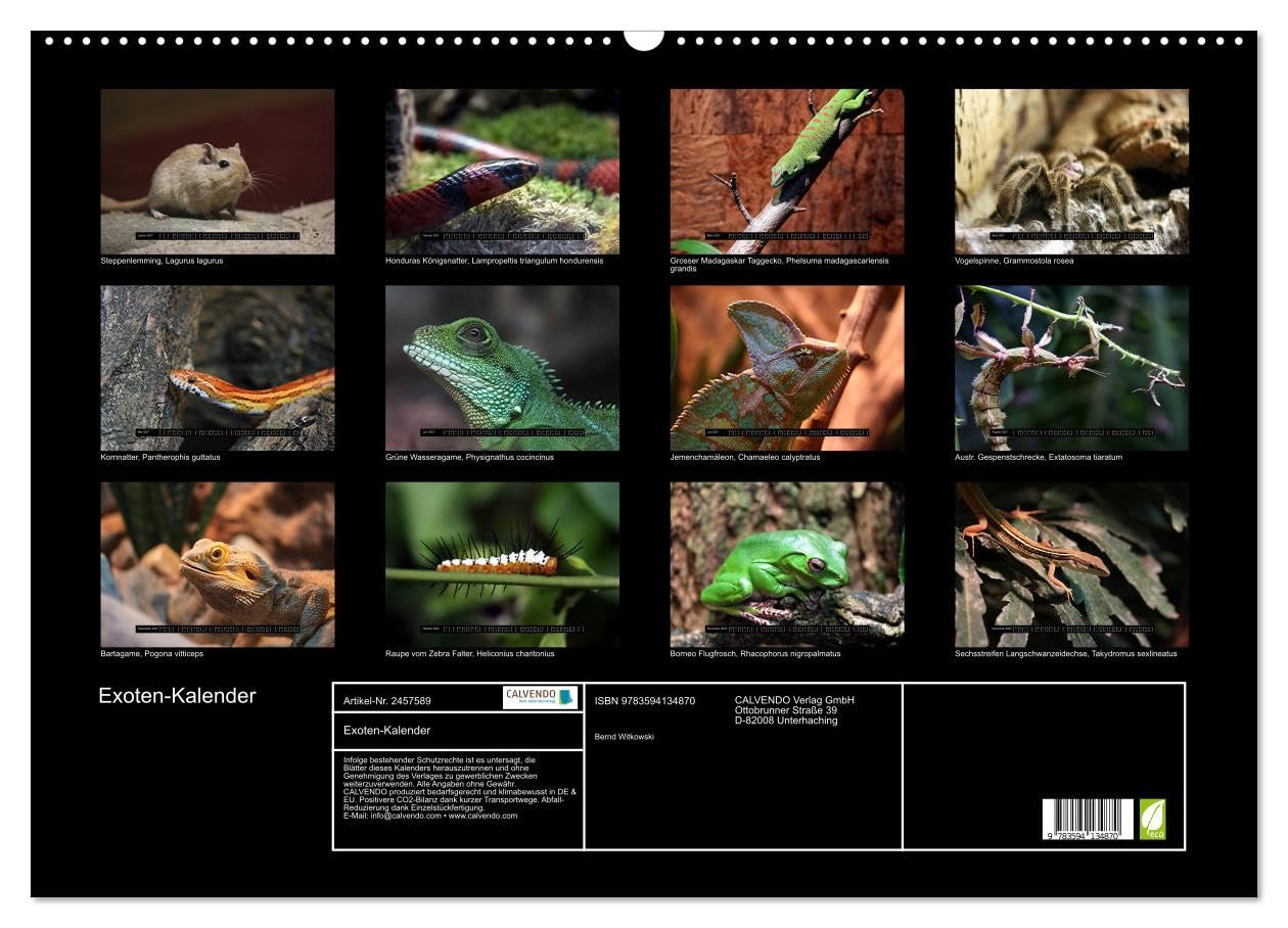 CALVENDO - Exoten-Kalender (Wandkalender 2027 DIN A2 quer), Monatskalender: Exotische Tiere, ein toller Wandschmuck im Büro oder zu Hause.