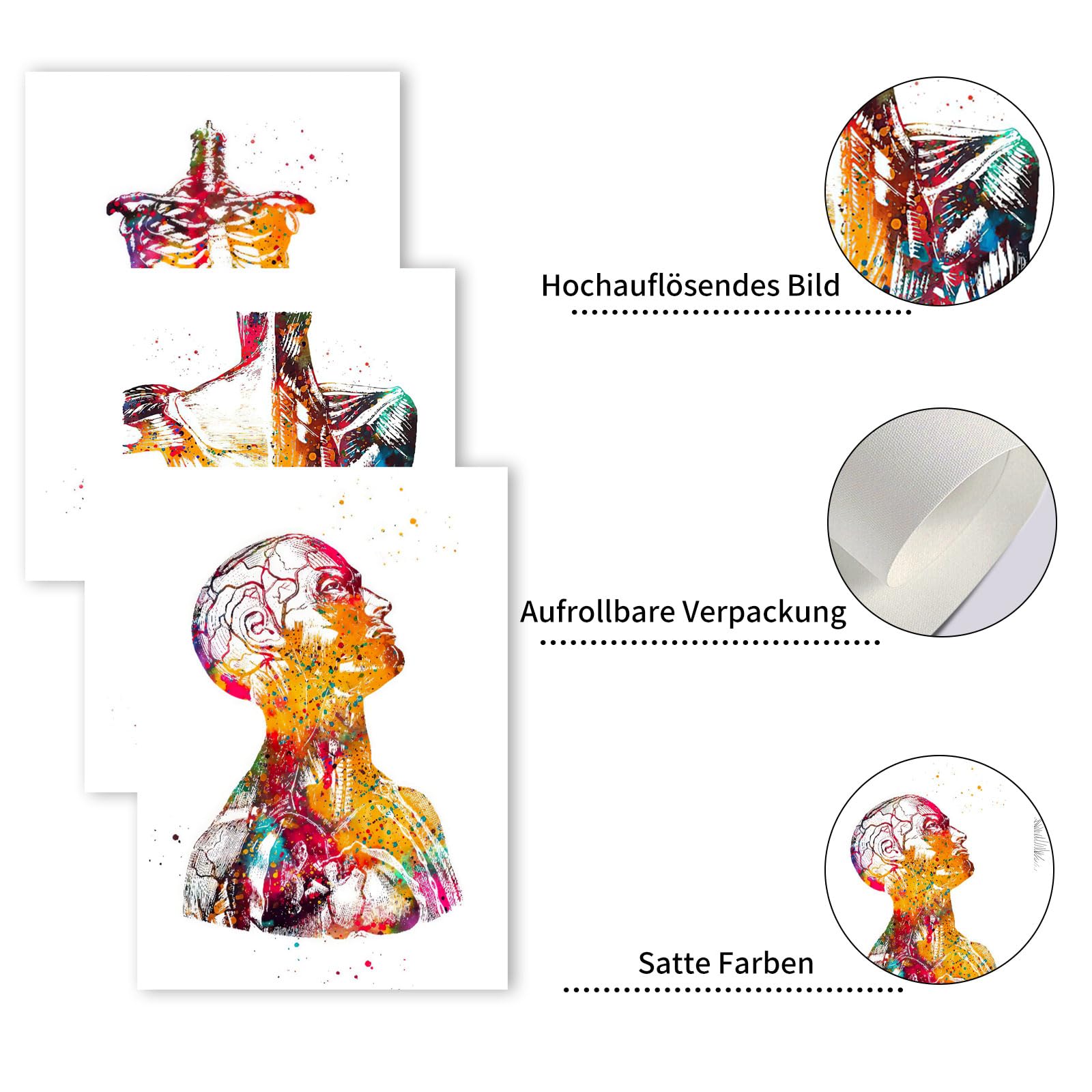 Posters Anatomie Humaine - Lot De 3 - Cœur Et Cerveau - 30x40cm - Toile Tendue - Pour Déco Murale