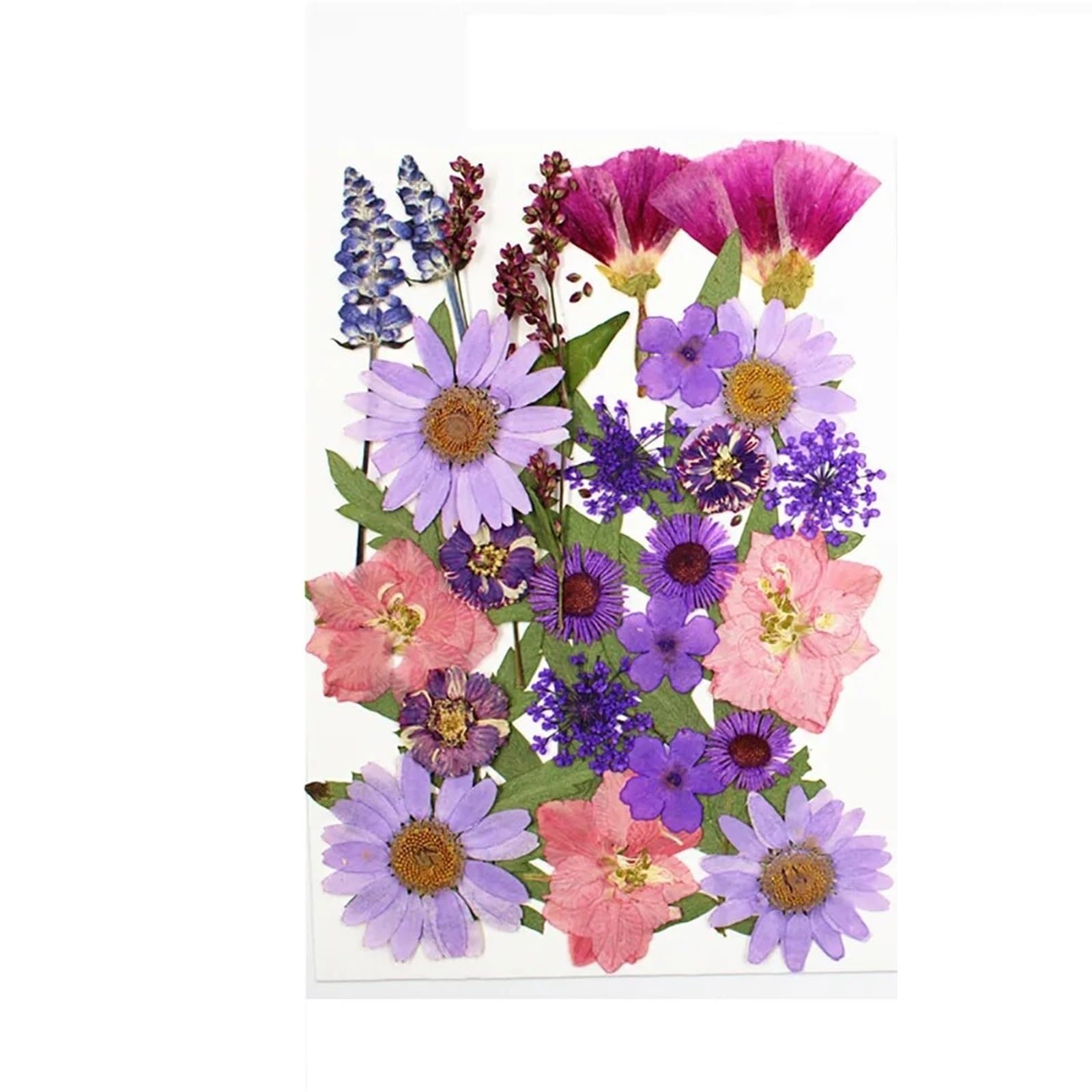 HBALDTEDC Getrocknete gepresste Blumen, 1 Packung Trockenblumen, Trockenpflanzen for Harzformen, Füllungen, Epoxidharz, Basteln, DIY, Nagelkunst, Dekoration, gepresste Blumen