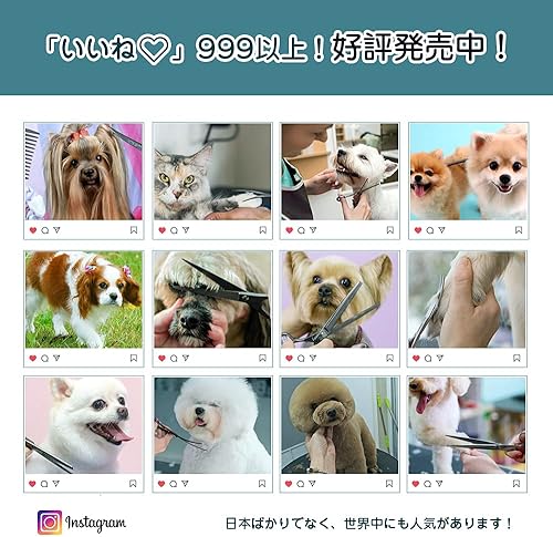 Miniatura 41 de Purple Dragon Juego de tijeras profesionales de 7.0 pulgadas, 4 piezas, para aseo de mascotas, acero de primera calidad, rectas, curvadas