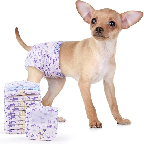 MICOOYO Pañales desechables para perras, pañales para perras hembras, pañales súper absorbentes para mascotas, pañales de espuma con agujero en la