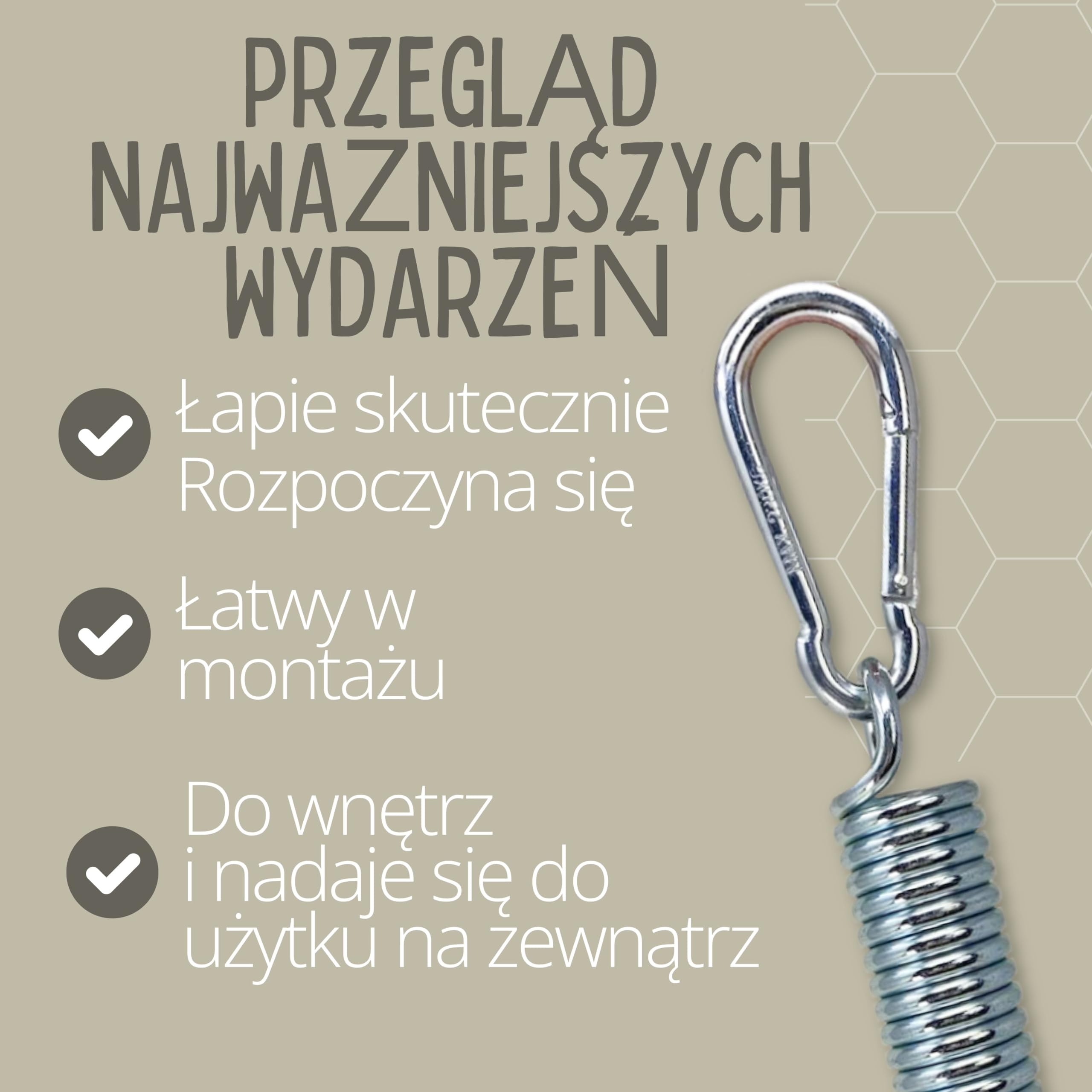 riijk Fotel wiszący, sprężyna oscylacyjna do fotela wiszącego, ze stelażem lub montażem na suficie, 2 karabińczyki, do krzeseł wiszących, huśtawek wiszących i uchwytów na worek bokserski,