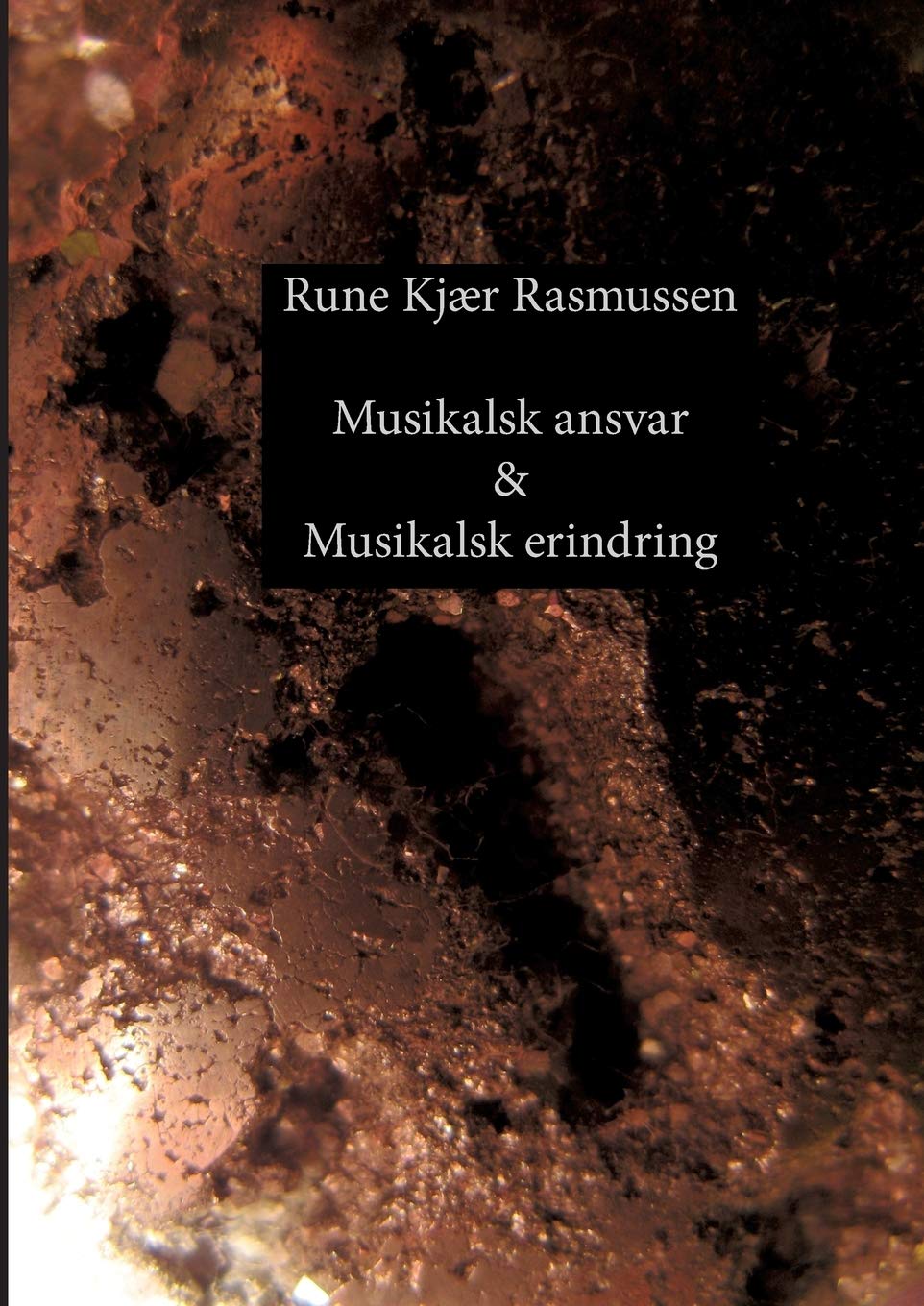 Musikalsk ansvar & Musikalsk erindring: Digte & kortprosa (Danish Edition)