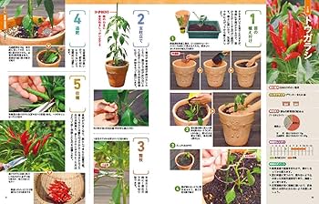 決定版 一年中楽しめるコンテナ野菜づくり 85種 | 金田初代