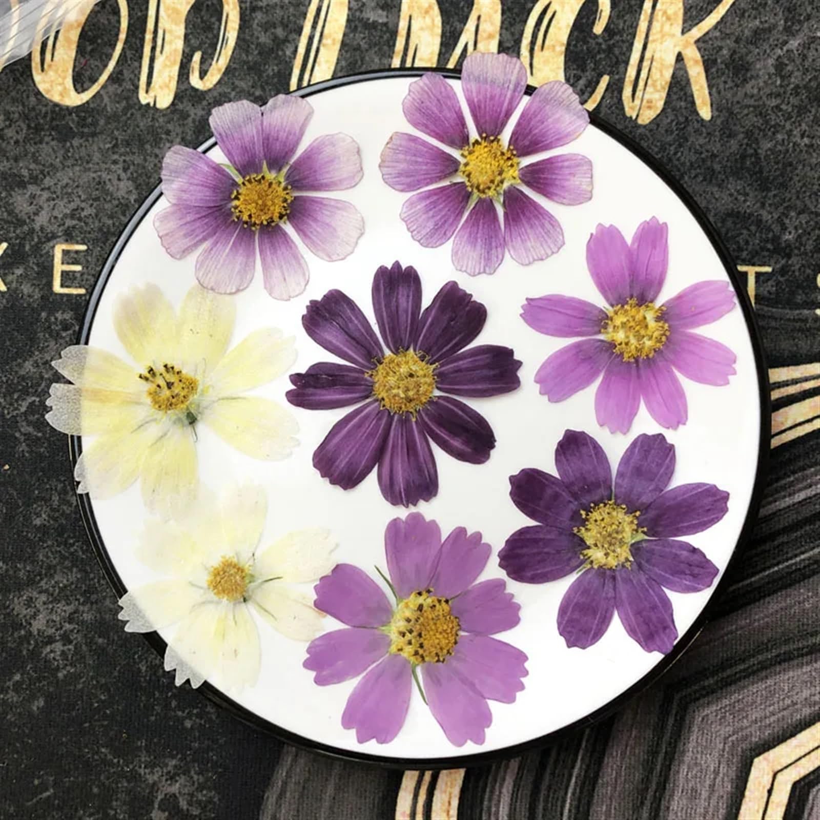 Fleurs Séchées Pressées Lot de 250 Fleurs séchées pressées 4 à 7 cm, herbier for Carte Postale, Cadre Photo, Bijoux, Marque-Page, Artisanat, Bricolage(Color-2)