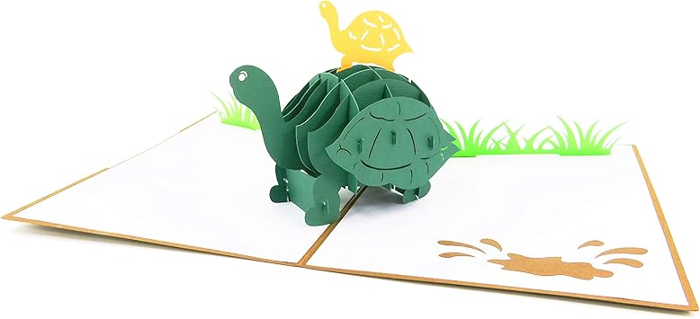 Amazon Com Turtle Theme 3d Pop Up Greeting Card Mother S Day Card Thank You Mom Card Father S Day Card Thank You Dad Card Pop Card Express Turtles Pop Up Card Amazon Com Turtle Theme 3d Pop Up Greeting Card Mother S Day Card Thank You Mom Card Father S Day Card Thank You Dad Card Pop Card Express Turtles Pop Up Card