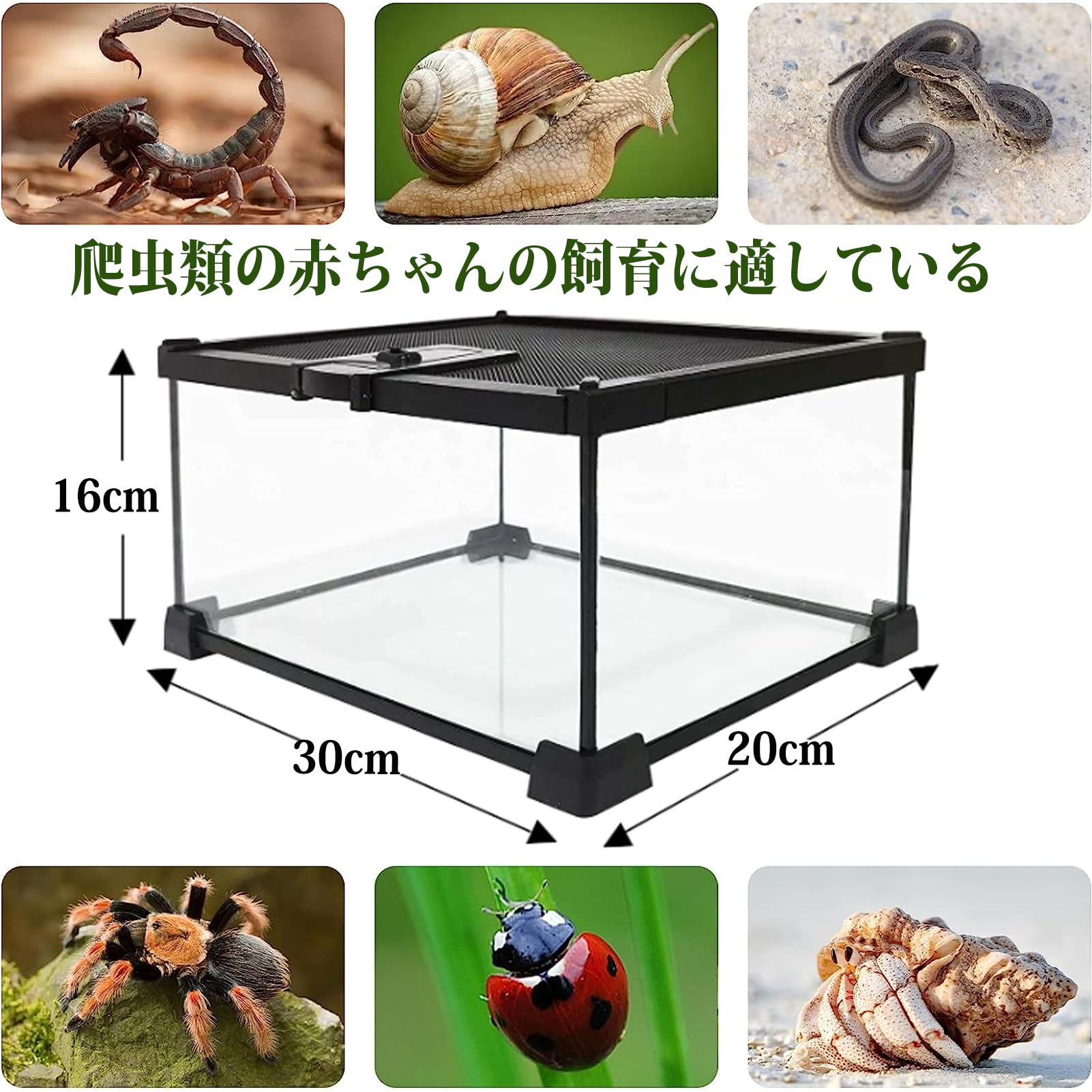 Amazon.co.jp: 爬虫類 ケージ 飼育ケージ 両生類 トカゲ ケージ 爬虫類