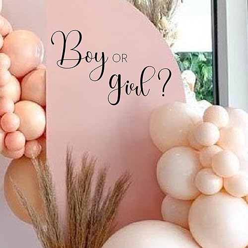Miniatura 4 de CANTLY Calcomanía de revelación de género de niño o niña para arco de globos, ideas de revelación de género para bebé, letras de calcomanías para