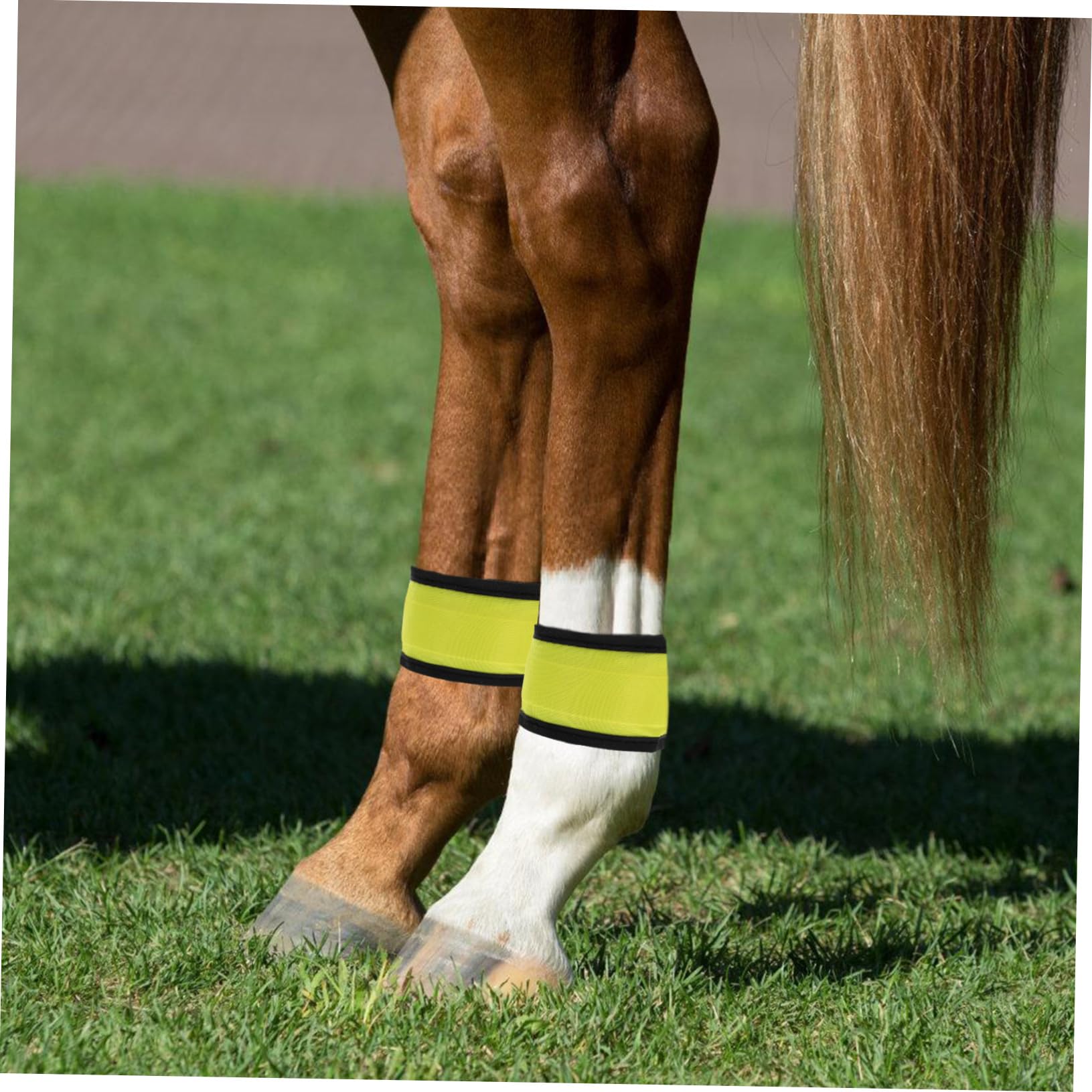 Toyvian 4 Stück Reflektoren Gürtel LED Sicherheitsband Pferdebeinband Gelb aus Stoff Verschleißfest und Tragbar für Sicheres Nachtreiten und Training