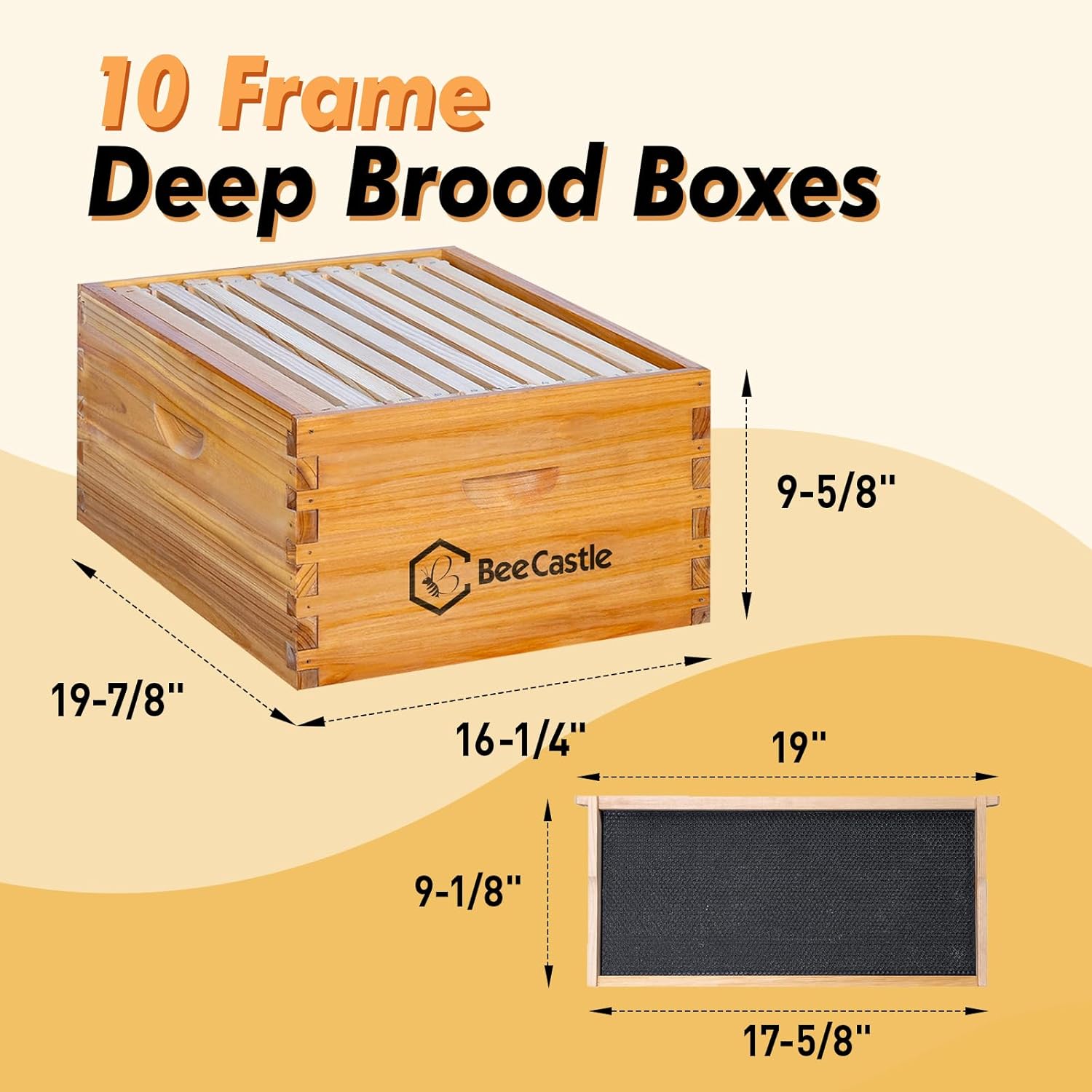 BeeCastle 10 Frame Langstroth Bee Hive Coated with Beeswax Includes Beehive Frames and Waxed Foundations (2 Deep Boxes & 1 Medium Box) - Image 4