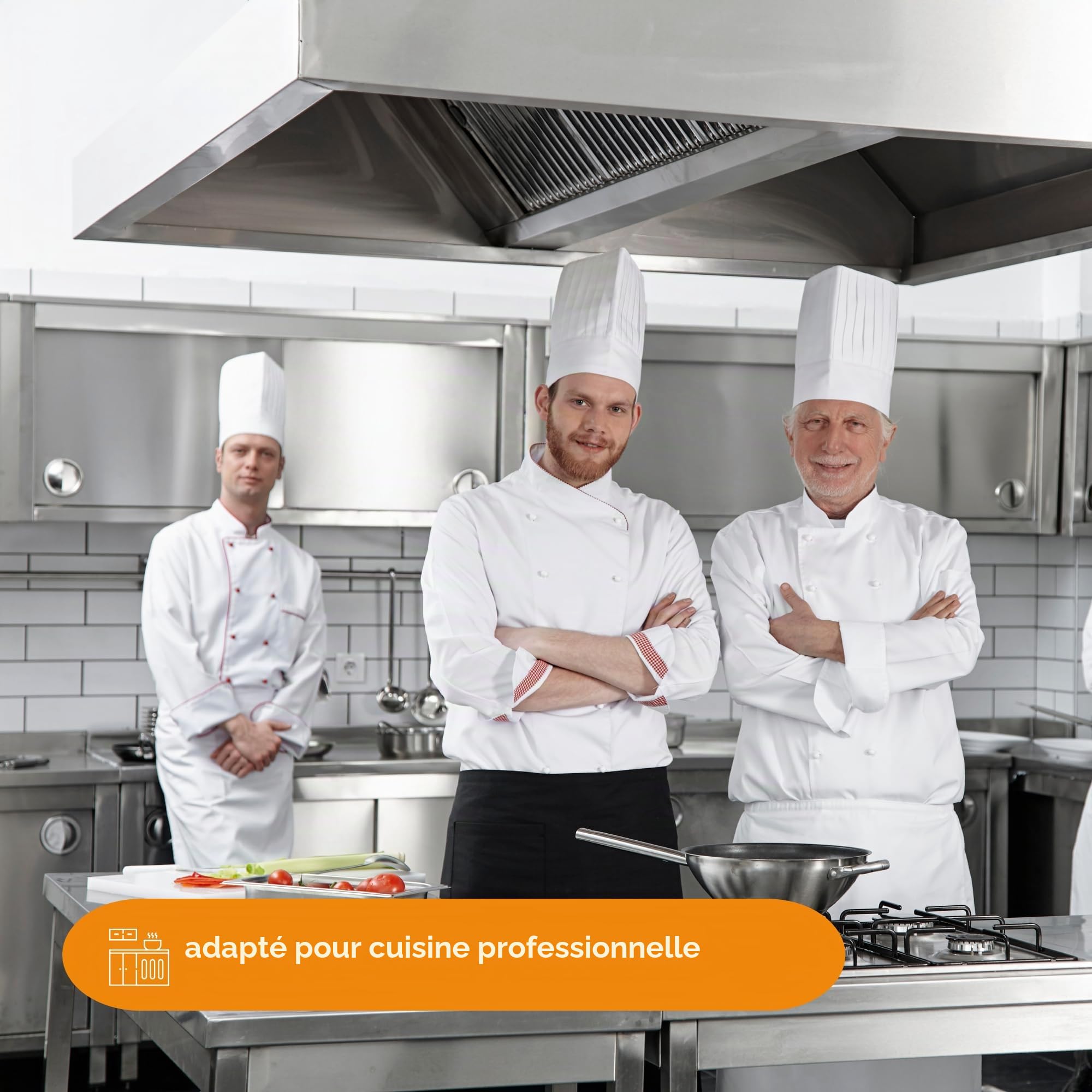 REM 10 Régulateur de Vitesse 2200W avec Boîtier Plastique - Contrôle Variable pour Hottes & Ventilateurs - Montage Mural IP54 pour Cuisines Professionnelles - Made in Germany