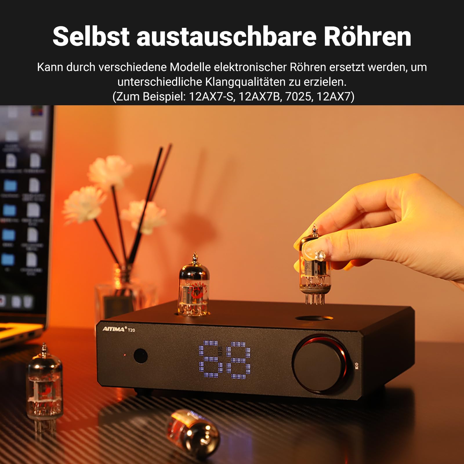 AIYIMA T20 Balanced Tube Vorverstärker LME49720 für HiFi-Heim-Audio Mini-Vakuumröhren-Vorverstärker mit Cinch-/XLR-EIN- und Ausgängen und 12-V-Triggerausgang (DC12V 2A-Netzteiladapter)