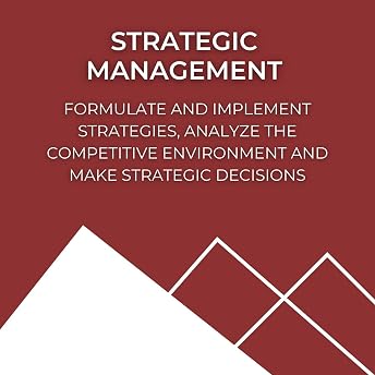 Strategic Management Audiobook by Domingos Coimbra episode artwork