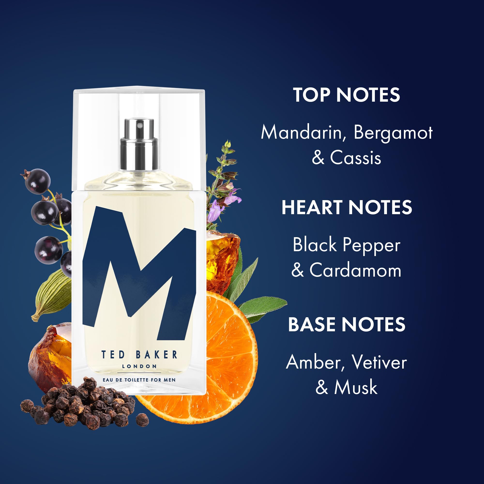 Ted Baker M Eau De Toilette Men's Fragrance Fresh Citrus Spicy