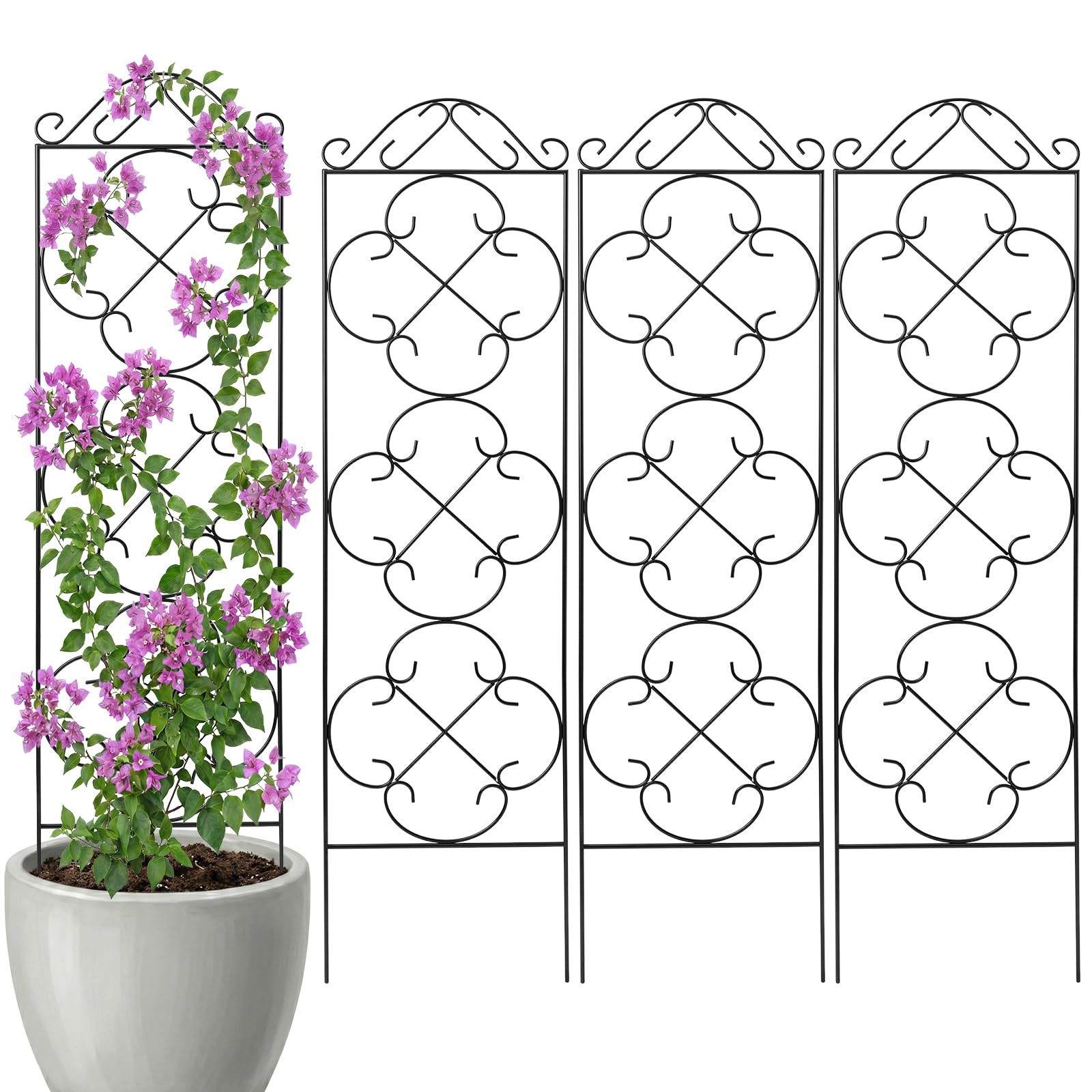 Thealyn 56 Trellis