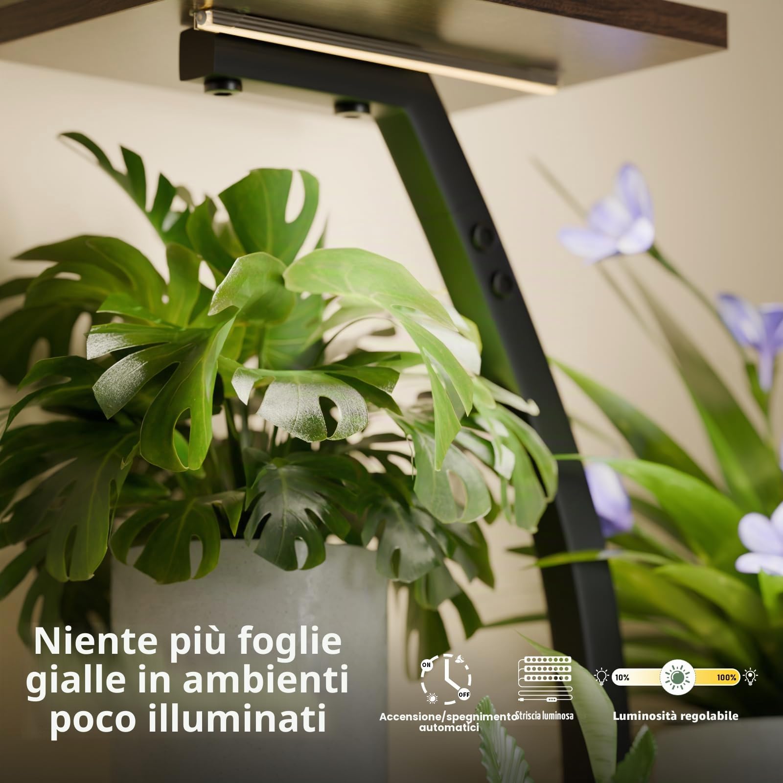 CODACE Supporto per piante da interno con luci di crescita, 6 ripiani, da 127 cm