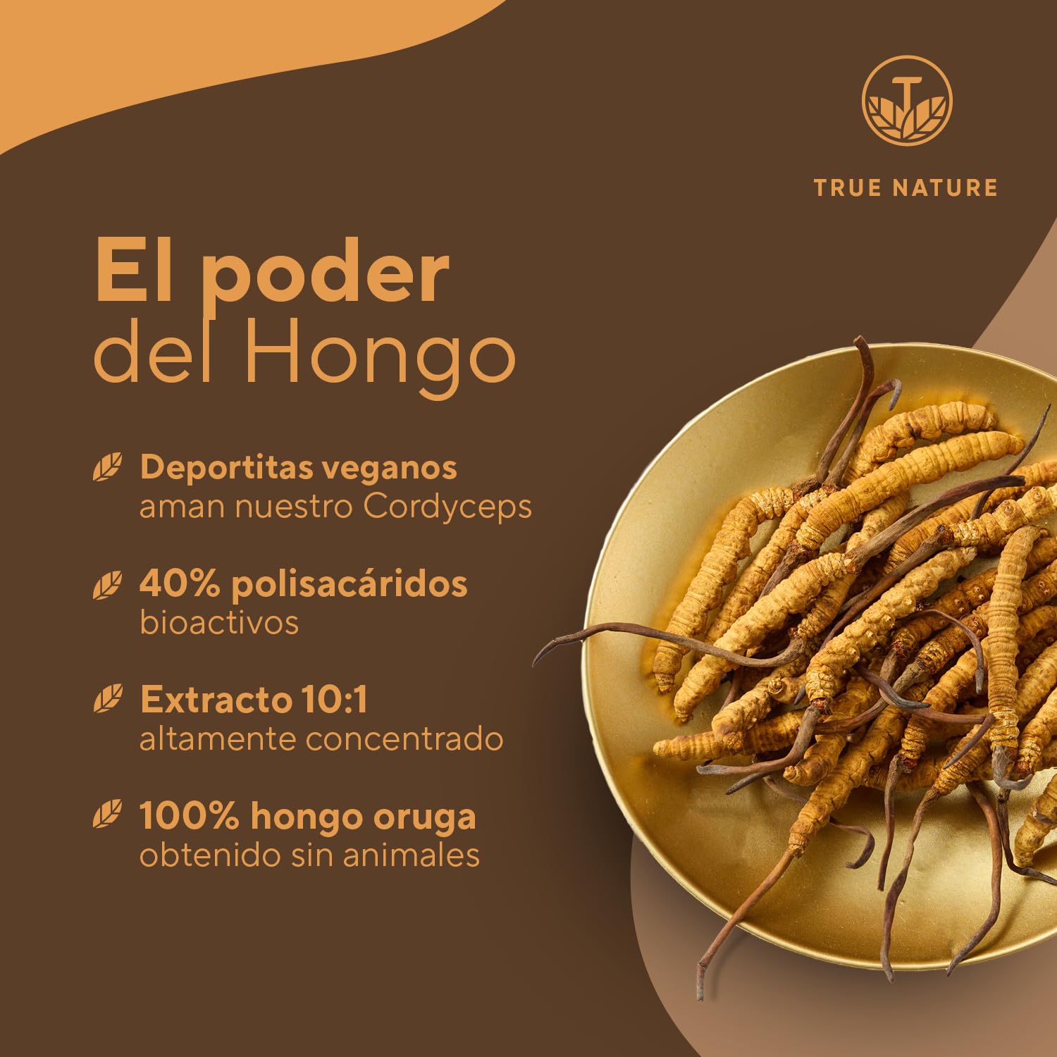 Cordyceps Sinensis cápsulas - 19500mg (10:1) alta dosis - 270 cápsulas - 207 g - con 40% de polisacáridos bioactivos - Testado en laboratorio - Vegano - TRUE NATURE