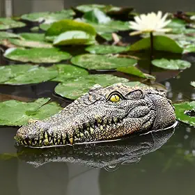 Decoração assustadora de cabeça de jacaré ao ar livre - flutuador de crocodilo para piscina jacaré para assustar gansos e pássaros patos - decoração de lago flutuante para jardim ao ar