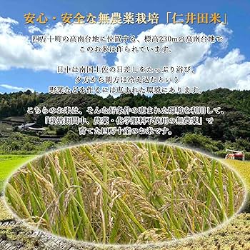 Amazon.co.jp: 土佐の旨味市場 【令和7年産新米予約】四万十町