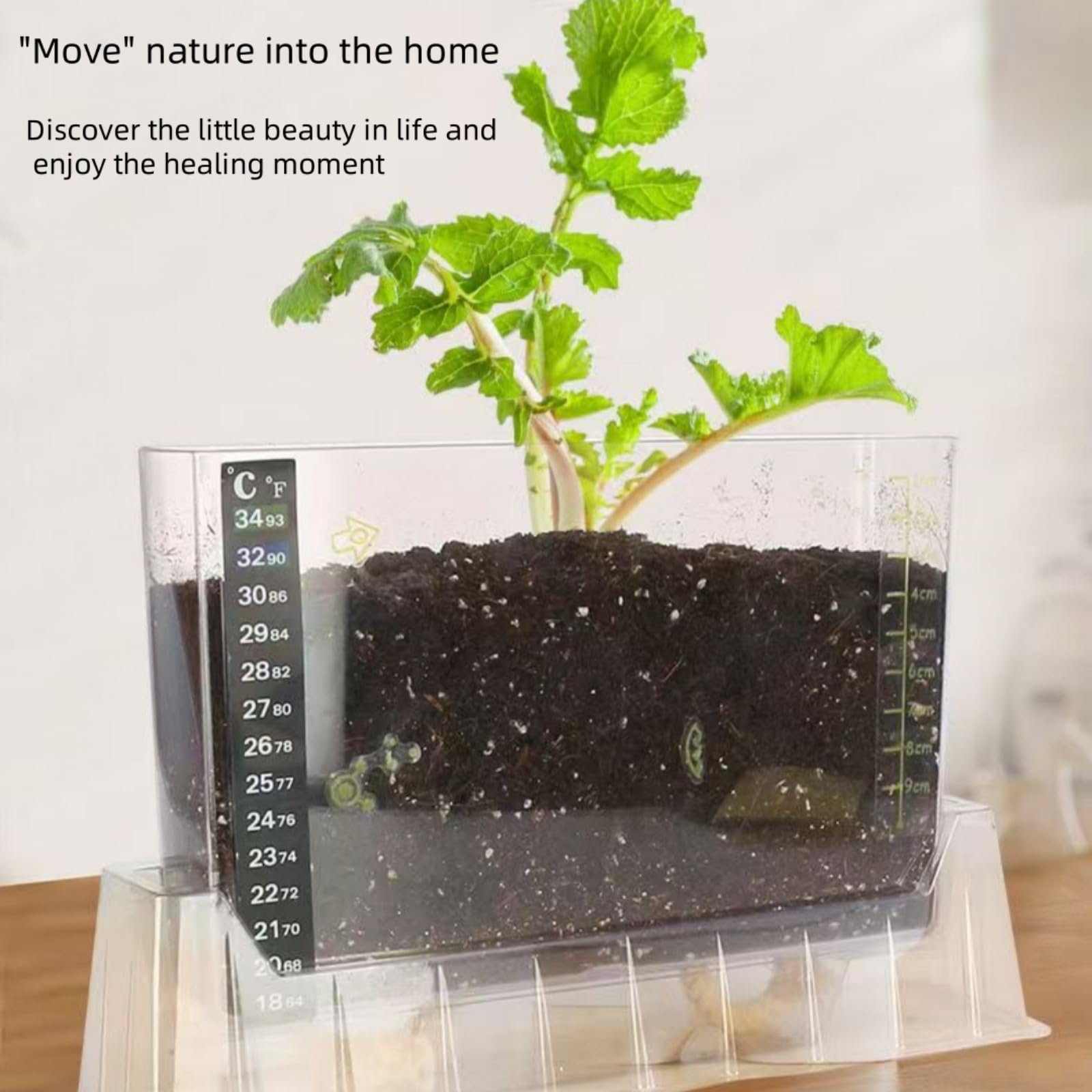 LOJAX Caja de observación de Crecimiento de Plantas Transparente, máquina de germinación de Semillas, lecho de plántulas de germinación, Bandeja de plántulas, fácil de Usar