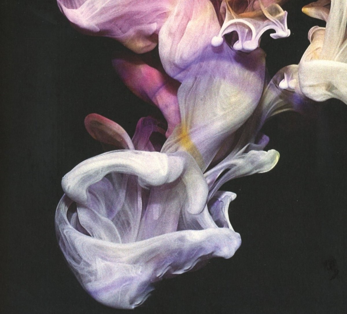 Simian Mobile Disco Murmurations CD NEW