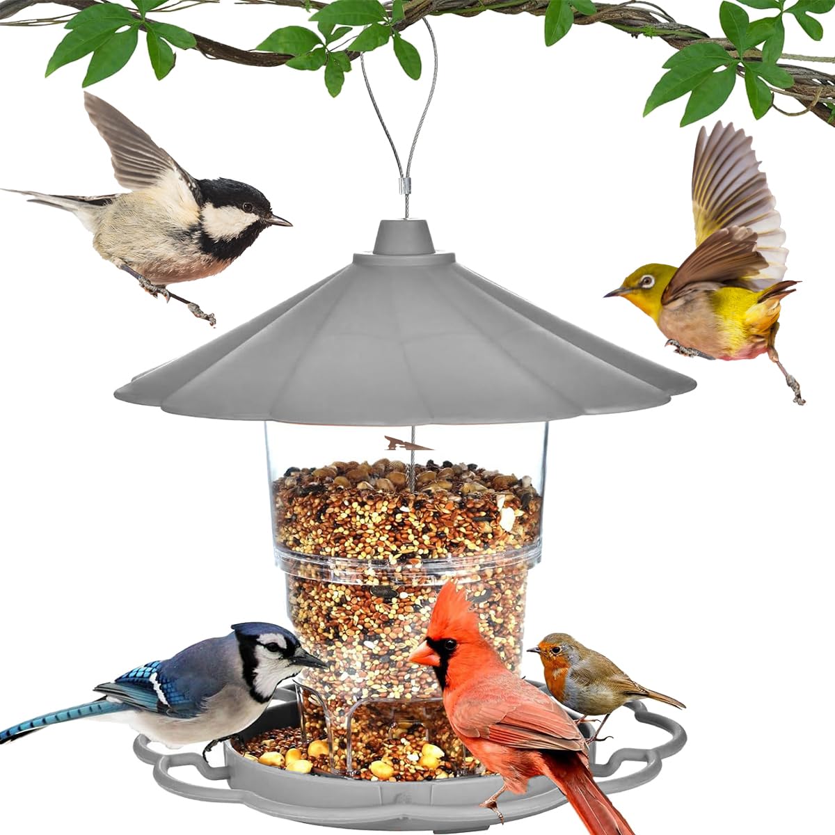 バードフィーダーイギリス製。小鳥の給餌カゴbird feeder金属製 バードフィーダーイギリス製。小鳥の給餌カゴbird feeder金属製