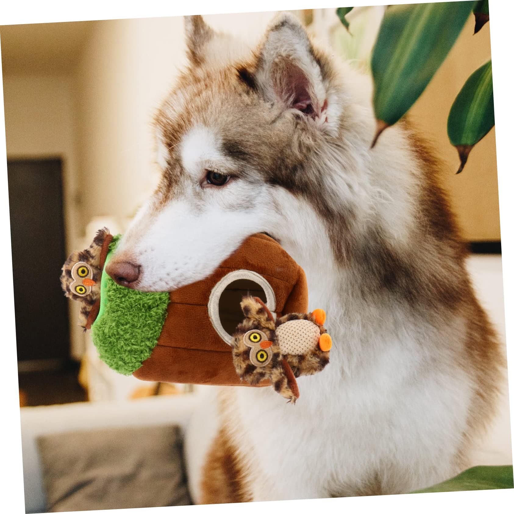 Kisangel 4pièces Set De Jouets Cachés Peluche Squeaky pour Chien Jouet Interactif De Recherche Molar Et Anti-déstructeur pour Chiots Et Chiens Actifs