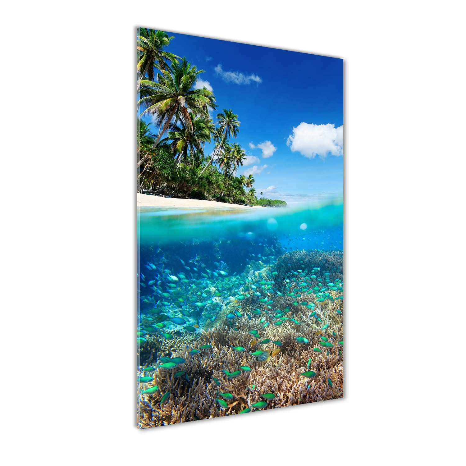 Impression sur verre 60x120 cm Tulup panoramique récif corallien bleu pour salon