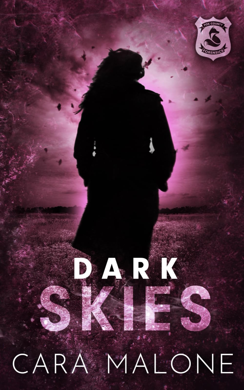 Dark Skies: A Fox County Forensics Lesbian Romantic Suspense: 3