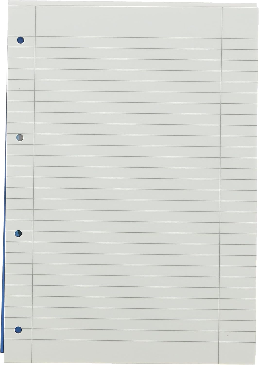 Landre 100050449 School Notepad A4 50 Sheets Line Style 21 Lined, 70 g/m², Wood-Free, Paper, 4 Holes) Pack of 10 School Pad, A4, 50 Pages, Ruling 27 - Lined/Edge Left and Right 0