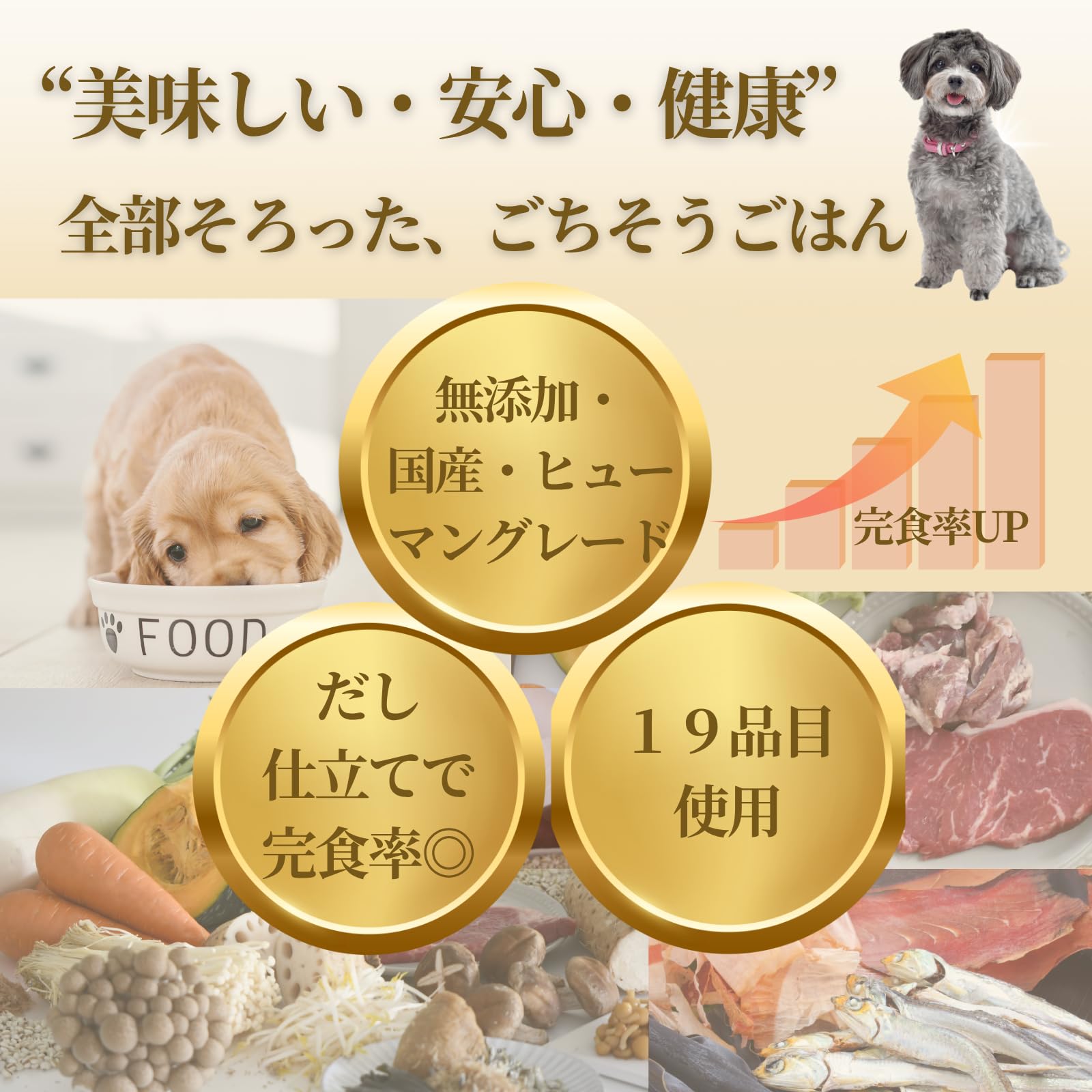 Amazon.co.jp: メルシーヌ ドックフード 国産 ウェット 無添加 Amazon.co.jp: メルシーヌ ドックフード 国産 ウェット 無添加