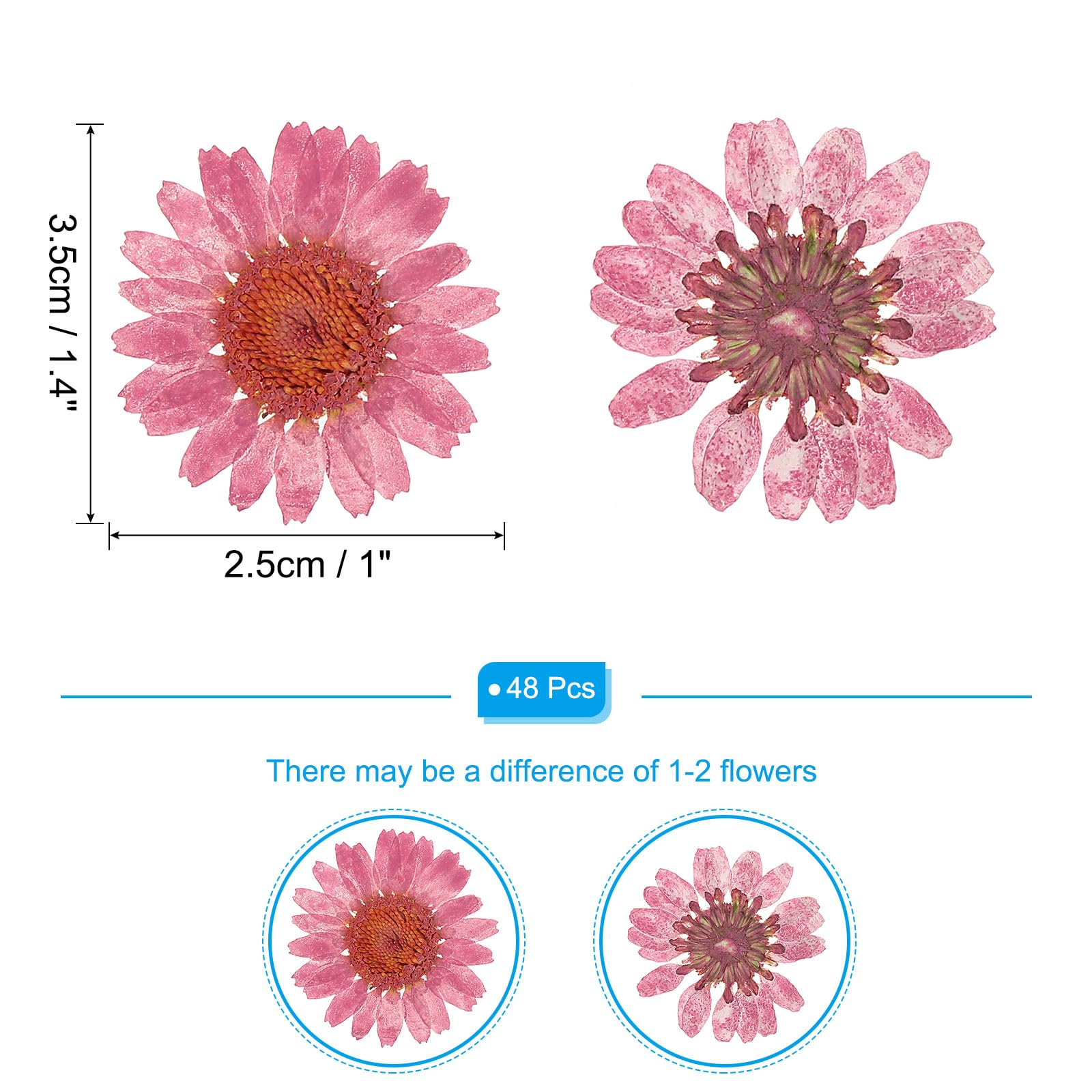 PATIKIL 48 Pcs Dried Pressed Flower Natural Dried Daisy Flower for DIY Art Crafts House Decoration Nails Decoration,Cherry Blossom Pink - Image 2