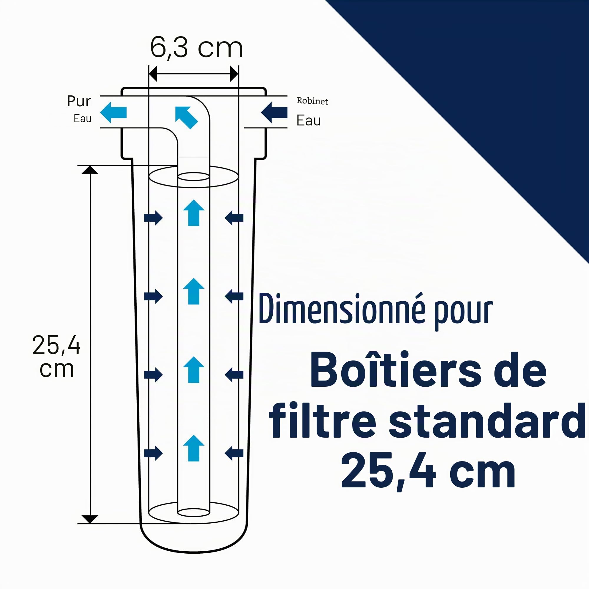 Pentek - 255416-43 ChlorPlus-10 Filtre à chloramine (25,4 x 6,3 cm), 1 micron